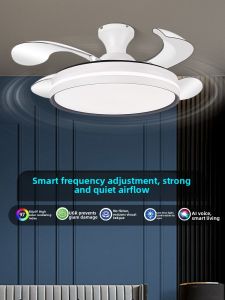 Chigo | Smart Ceiling Fan Light