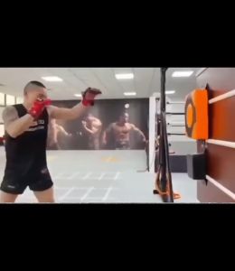 3H Sasaran Pukulan Muay Thai/Boxing Rumah/Home Boxing Wall Target/Target Foot/Target Punching Bag