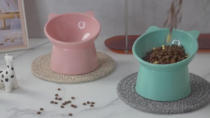 Cat Food Bowl Pet Elevated Bowl High Ceramic Pet Feeding Water Bowl Cat Puppy Feeder Kitten CanPlate