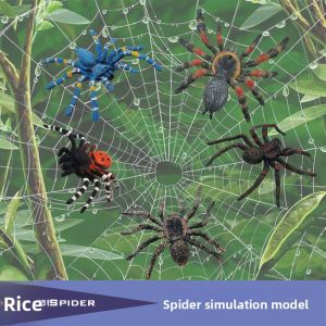 Childrens Simulation Animal Toys Spider Model Set Creative Plastic Snake Model Bat King Cobra Scorpion Lizard Educational Playset