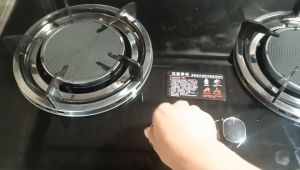 Double Infrared Stainless Steel Gas Stove & Tempered Glass Gas Stove