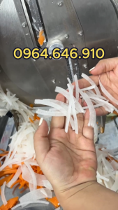 Máy thái lát củ quả đa năng chạy điện chính hãng