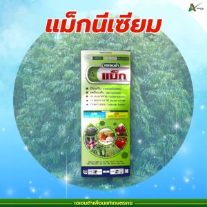 แม็กนีเซียม ปุ๋ยน้ำทางใบ หยุดใบอ่อน ใบเขียวเข้ม เร่งใบแก่ ใบใหญ่ ใบหนา ใบเพสลาด เตรียมต้น สะสมอาหาร ทนต่ออากาศ เอเจนต้า คอร์ป (หลายขนาด)