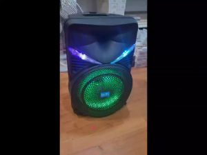 HANSUO Portable Party DJ Karaoke Speaker 12 Inch Outdoor Wireless with LED Light Speakers HS-TS1272