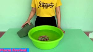 (10 Viên) Xốp cắm hoa tươi Oasis TÍM - Xốp cắm hoa OASIS chuyên dụng cắm hoa tươi giá siêu rẻ