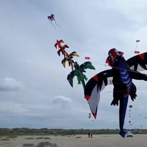 Trilobite kites nylon soft kites flying for adults kite reel octopus kite factory professional kites parachute fabric jellyfish