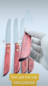 Dao inox gọt vỏ trái cây hoa quả JINLI sáng bóng sắc bén cán gỗ ép cầm chắc tay - NO.502