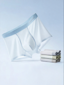 Secret World | Mint Cooling Antibacterial Silk Mens Briefs