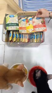 1 thùng 48 gói - Pate Snappy Tom Trái Cây Đủ Vị