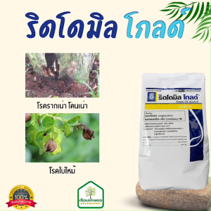 ริดโดมิลโกลด์ เอ็มแซด 68 ดับบลิวจี สารป้องกันกำจัดโรคพืชคุณภาพสูง ขนาด 500 กรัม