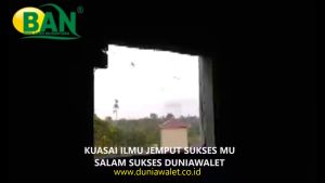 SUARA WALET. PANGGIL LINTASAN BAN - GARANSI RESMI 1TAHUN