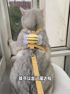 Cat Leash Dog Walking Harness Vest Style Small Dogs Rabbit Leash Anti-Escape Outdoor Special Chest Back Belt Pet Supplies