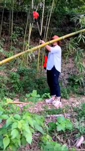 Support cash on delivery BAIPUXI Cordless Lawn Mower Rechargeable Electric Grass Cutter with Lithium Battery 48V Grass Trimmer String Cutting Machine Adjustable Lawn Mower Kit Set Home Push Lawnmower Multifunction Brush Cutter Line