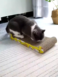 รังแมวขนาดใหญ่ มีหลายแบบ กระดาษลับเล็บ ที่ลับเล็บแมว  ของเล่นแมว โซฟาแมว รุ่นคลื่น