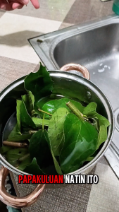 Anonang leaves gamot sa binat 50pcs Anonang Leaf In English - Lazada