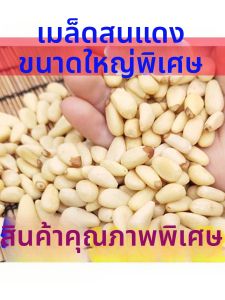 Premium Large Size Northeast Pine Nut Kernels