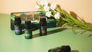 Natural Plant Pure Essential Oil Aromatherapy Oil(10ml) 6pcs / 8pcs for setUse for HumidifierDiffuser