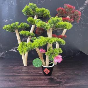 ciiemen | Decorative Sashimi Pine Platter Ornament