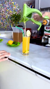 JUKE Alat Pemeras Buah Jumbo Manual Pengepres Jeruk Lemon Nipis Press Hand Juicer Plastik Portable