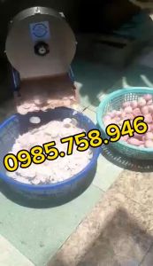 Máy Thái Lát Măng Thái Hoa Chuối - Máy Thái Tất Cả Các Loại Rau Củ Quả
