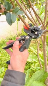 Kéo Ghép Cành Đa Năng - Chuyên Dụng Tặng 2 Lưỡi Cắt Và Trụ Đỡ Thay Thế