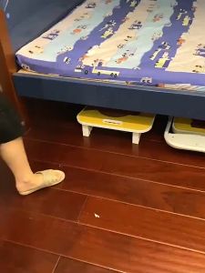 Bộ bàn học gấp gọn 40x60cm dành cho học sinh cấp 1 nhiều hình dễ thương bộ bàn ghế ngồi học xếp gọn