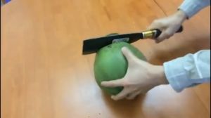 Pisau Kelapa Pisau Daging Super Tajam Coconut Knife Coconut Mengupas Panjang Knife Cutter Knife Pisau Baja Golok Kelapa