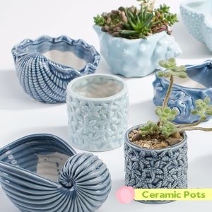 Ceramic Plant Pots with Drainage Hole for Indoor Flower Pot