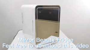 SG🔥【Ready Stock】4L Mini Refrigerator Cosmetics Quick Cooling Portable Car Refrigerator Kitchen Small Refrigerator