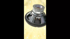 Loa bass 30 sony từ kép màng vải xếp gân mút lời sáng thích hợp các loại mạch công suất giá 1 chiếc