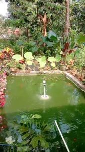 MORI 103 104 Paket komplit Mesin Air Mancur Kolam Mini Pompa Air Mancur Kolam  Ikan