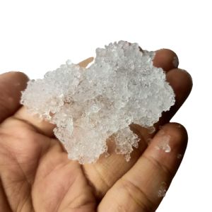 (1kg) Plant Water Retention Gel | Gel Penyimpanan Air | Plant Growing Gel | Super Absorbent Polymer (SAP) 土壤保湿保水剂