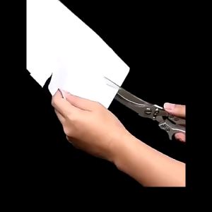 กรรไกรตัดอาหาร Marino - ที่ร้านอาหารที่น่ารัก กรรไกรตัดเนื้อ กรรไกรสแตนเลส No.Y1478