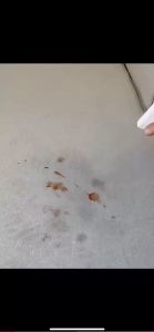 โฟมทำความสะอาดอเนกประสงค์ สเปรย์ซักแห้งสำหรับโซฟาผ้า  ขนาด 500ml ขจัดได้ถึง 9คราบชนิด