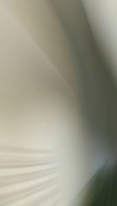 VERSKI Yoora Sandal Wanita Sendal Slop Wanita Slipper Rumah Sandal Slip-On Sendal Rumah Sandal Rumah Anti Slip Sendal Jelly