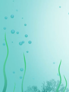 Đồ Chơi Câu Cá Bồn Tắm Cho Bé - Cá Bơi Nổi + Nam Châm Hút Siêu Mạnh Mới Nhất 2025