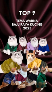 Baju Raya Kucing 2026 Baju Melayu Kucing Baju Raya Kucing Betina Baju Raya Kucing Jantan Baju Kucing Raya Betina Jantan Baju Kurung Kucing 马来新年猫衣服