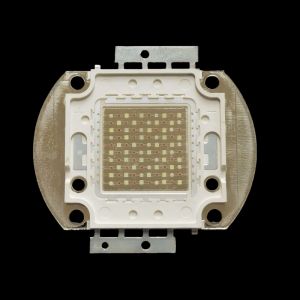 ตู้ปลาทะเล50W100W ปลาทอง Arowana แหล่งกำเนิดแสง LED ชิปโคมไฟปะการังความสว่างสูงเพิ่มความงดงาม