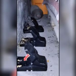 (HỎA TỐC) - Bẫy chuột thông minh Thế hệ mới kèm lò xo đàn hồi với độ nhạy cao