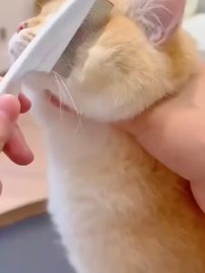 Lược chải ve rận bọ chét cho chó mèo | Lược gỡ rối lông thép không gỉ chải lông thú cưng