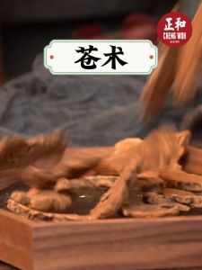 苍术 100g Atractylodes Rhizome Herba Cina kering