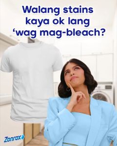 WISHGATE Zonrox Bleach Original 1000ml/3785ml
