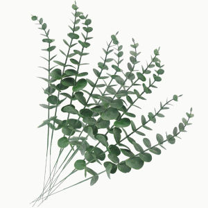 Artificial Green Plant Plastic Zamioculcas Leaves Eucalyptus Ins Home Decoration Birthday Arrangement Wedding Bouquet