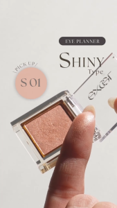【Direct from Japan】excel Eye Planner SHINY TYPE 4 colors