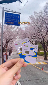Sim / Esim Di Lịch Hàn Quốc Seoul Jeju Busan Data Tốc Độ Cao – 3GB/Ngày Lắp Là Dùng Phù Hợp Du Lịch – Công Tác – Học Tập Siêu Tiết Kiêm - FREESHIP - CHƯA KÍCH HOẠT