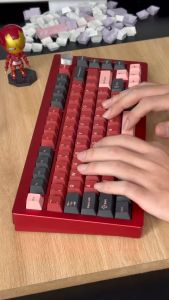 Bàn phím cơ Heiji Snake AL75 - Full nhôm CNC - LED RGB - Plate FRC4 - Sơn Anode đã mod tại Tungcustom