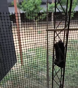 ตาข่ายพลาสติกกั้นรั้ว 10 เมตร ตาข่ายไก่ ตาข่ายสวน ตาข่ายกันนก ตาข่ายกันสัตว์ ป้องกันสวนผลไม้ ตาข่ายปีนเขา ตาข่ายระเบียง ตาข่ายเลี้ยงไก่