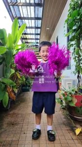 1 คู่ สีเงิน เงา พู่ฟอยด์ใหญ่ พู่ฟอยล์ พู่ลีดเดอร์ พู่เชียร์ ปอมปอมเชียร์ - 1 ชุด สีเงิน เงา พู่ฟอยด์ใหญ่ พู่ฟอยล์ พู่ลีดเดอร์ พู่เชียร์ ปอมปอมเชียร์