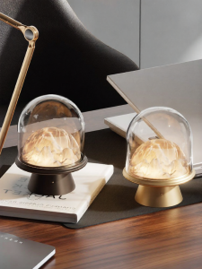 OsgonA | Decorative Gift Table Lamp