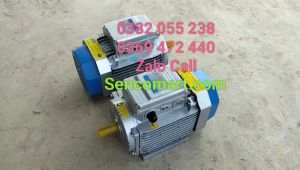Động cơ motor điện 220v Toàn Phát 3kw(4 ngựa) 2900v/p chính hãng